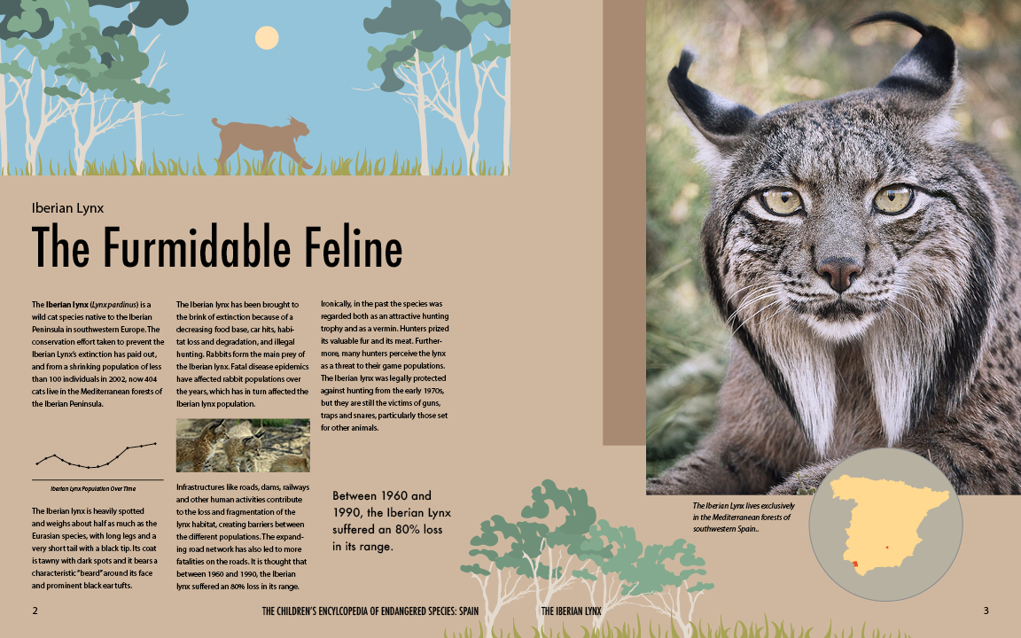 2 page spread about the Iberian Lynx